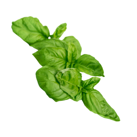 Herb - Basil - Bunch