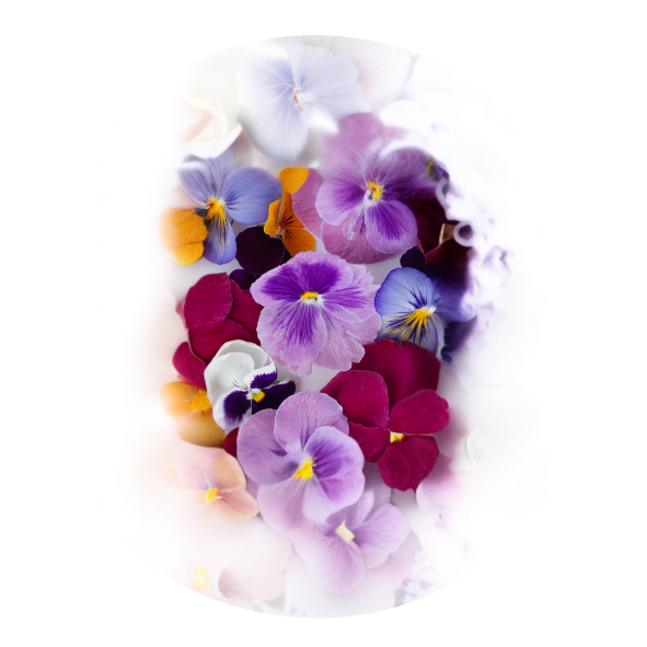Herbs - Edible Flowers - Punnet
