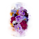 Herbs - Edible Flowers - Punnet