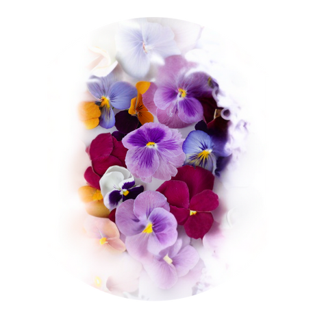 Herbs - Edible Flowers - Punnet