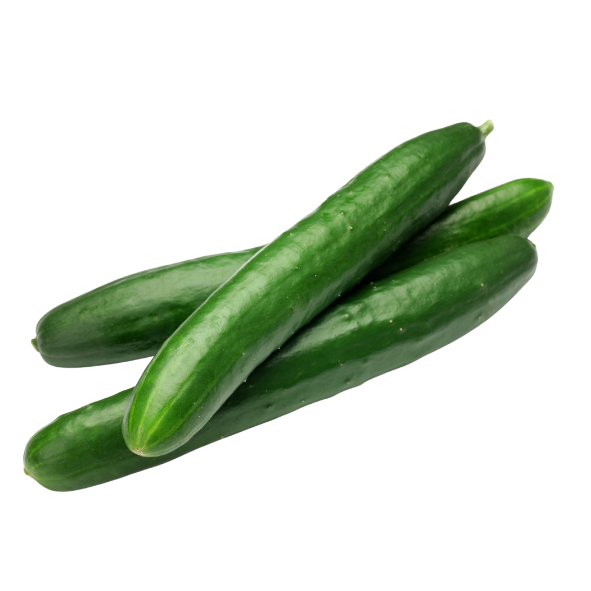 Cucumber - Continental - Each