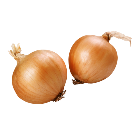 Onions - Brown Small - Pre Pack 1kg Bag