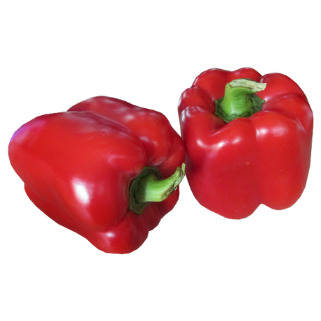 Capsicums - Red - Each