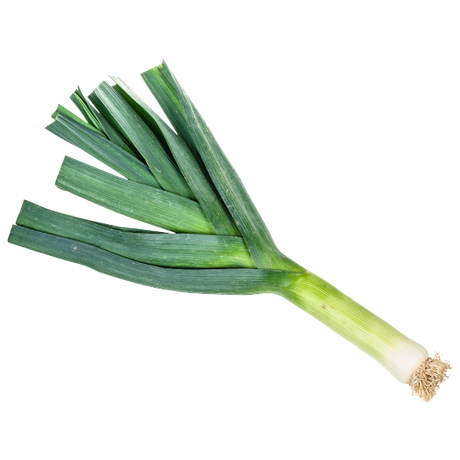 Leeks - Each