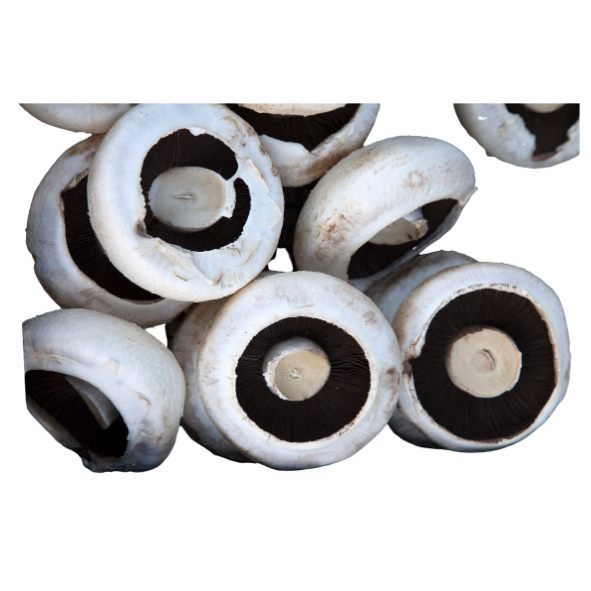 Mushrooms - Field / Flat - Each