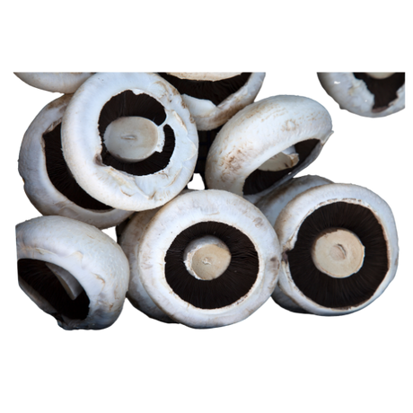 Mushrooms - Field / Flat - Each