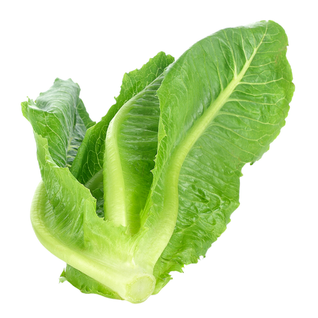 Lettuce - Cos - Each