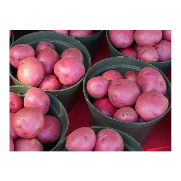 Potatoes - Red Desiree Chats Washed (Small) - 1kg