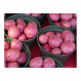 Potatoes - Red Desiree Chats Washed (Small) - 1kg