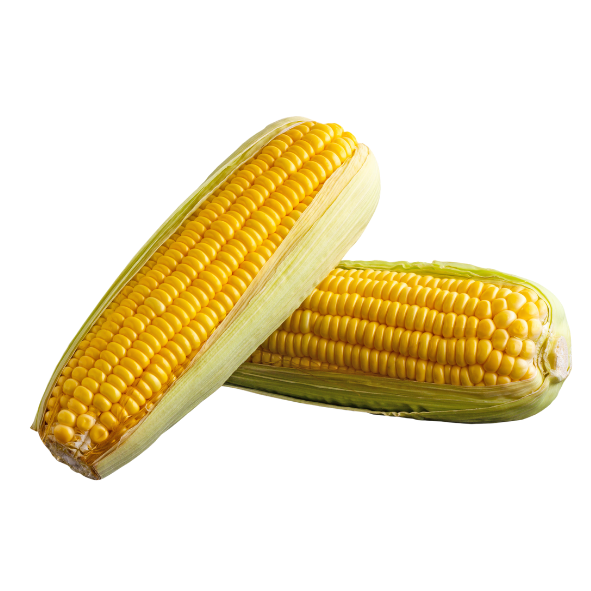 Corn - Sweet - Each