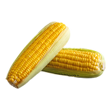 Corn - Sweet - Each