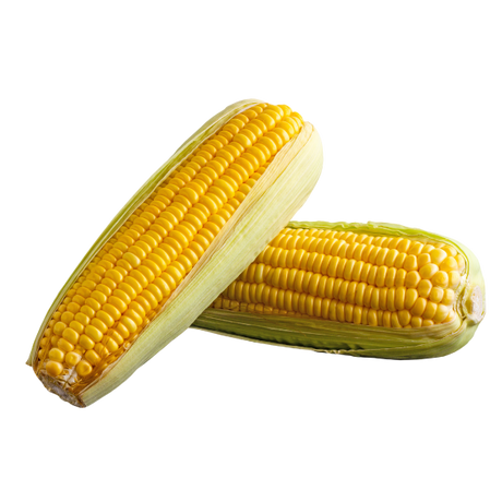 Corn - Sweet - Each