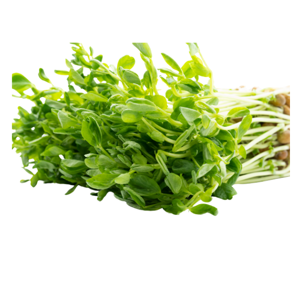 Snow Pea Shoots - Punnet - 100g