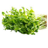 Snow Pea Shoots - Punnet - 100g
