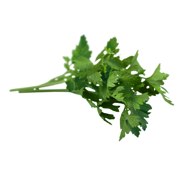 Herbs - Parsley - Continental - Bunch