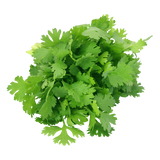 Herb - Coriander - Bunch