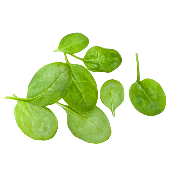 Lettuce - Baby Spinach - Punnet - 100g