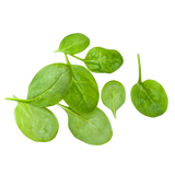 Lettuce - Baby Spinach - Punnet - 100g
