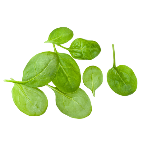 Lettuce - Baby Spinach - Punnet - 100g