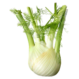 Fennel - Bulbs - Each
