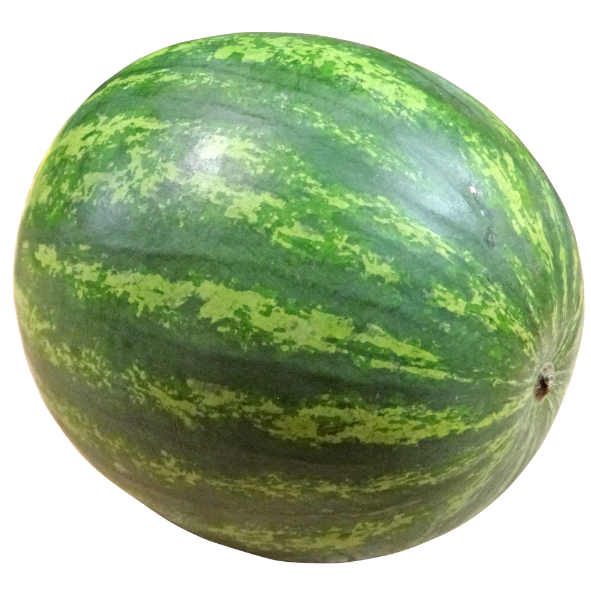 Watermelon Seedless - Each - Min - 10kg
