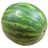 Watermelon Seedless - Each - Min - 10kg