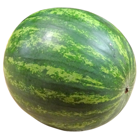 Watermelon Seedless - Each - Min - 10kg