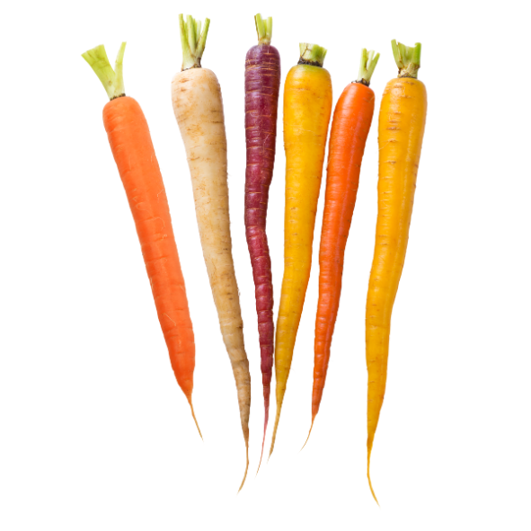 Carrots - Dutch Rainbow - Packet - 250g