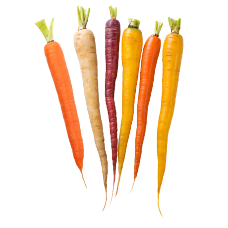 Carrots - Dutch Rainbow - Packet - 250g