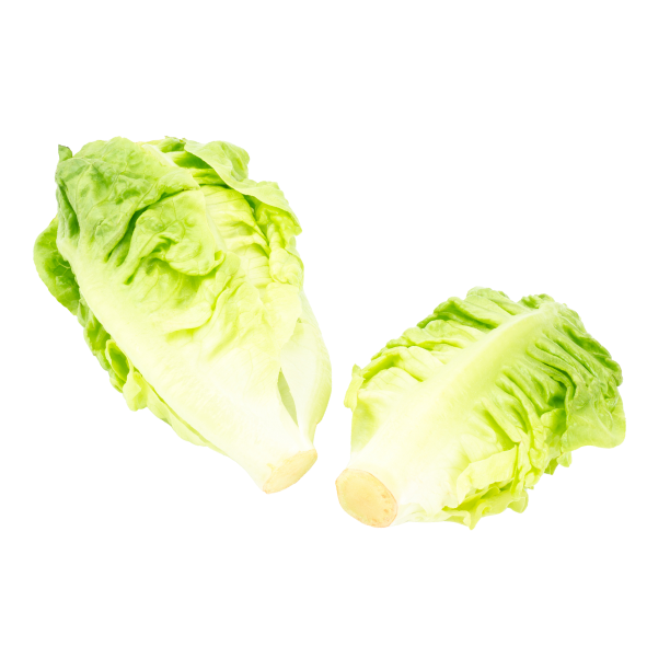 Lettuce - Baby Cos (Twin Pack) - Each