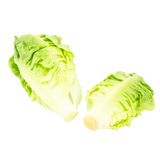 Lettuce - Baby Cos (Twin Pack) - Each