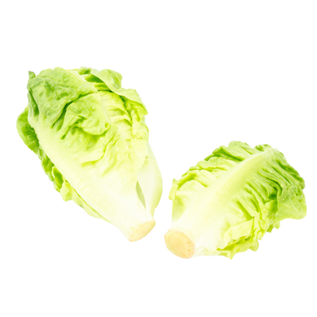 Lettuce - Baby Cos (Twin Pack) - Each
