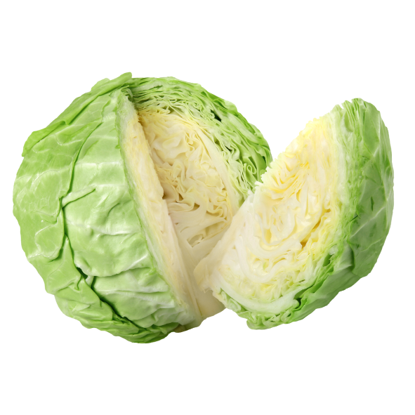 Cabbage - Green - Quarter