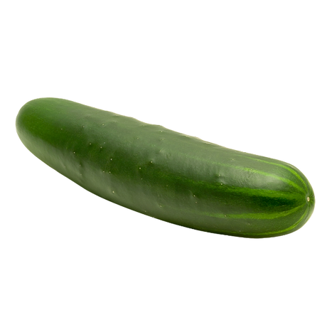 Cucumber - Lebanese - Each