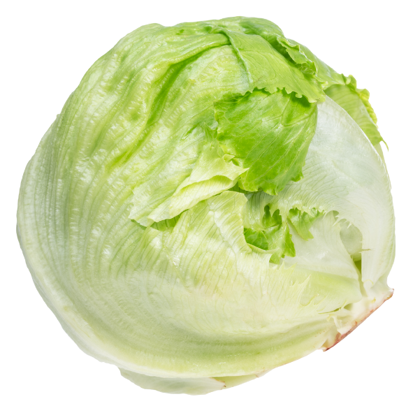 Lettuce - Iceberg - Each