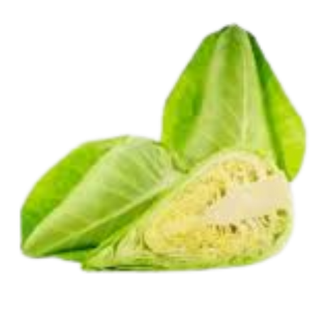 Cabbage - Sugarloaf - Each