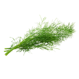 Herb - Dill - Bunch