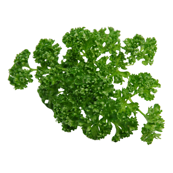 Herb - Parsley - Curly - Bunch