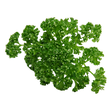 Herb - Parsley - Curly - Bunch