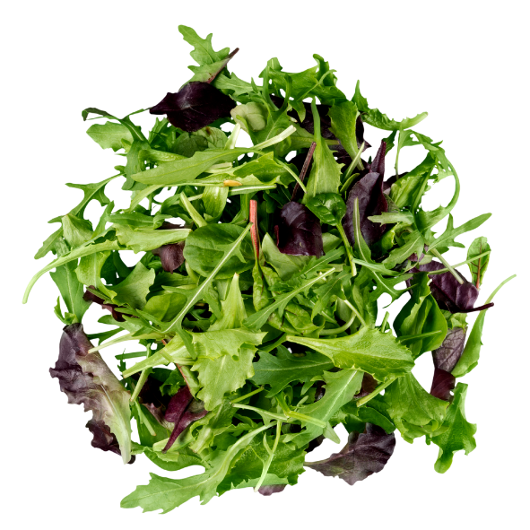 Lettuce - Mesculin Mix - Bag - 500g