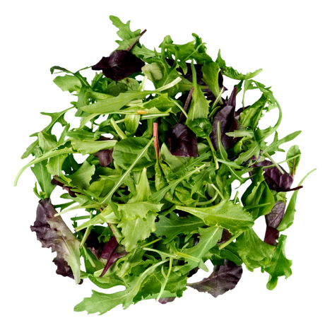 Lettuce - Mesculin Mix - Bag - 500g