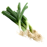 Shallots - Bunch