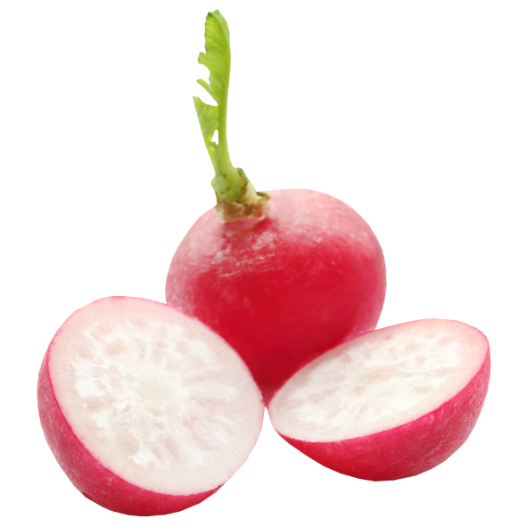 Radish - Packet