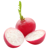Radish - Packet