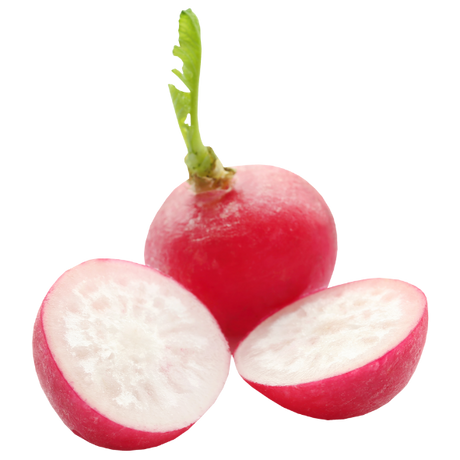 Radish - Packet