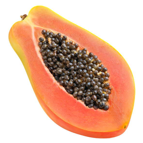 Paw Paw - Red - Each