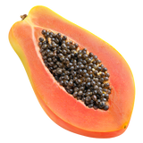 Paw Paw - Red - Each