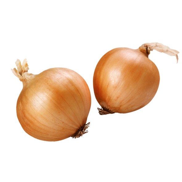 Onions - Brown Medium - Each