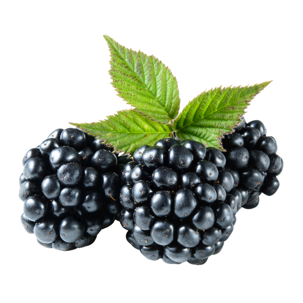 Blackberries - Punnet