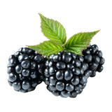 Blackberries - Punnet